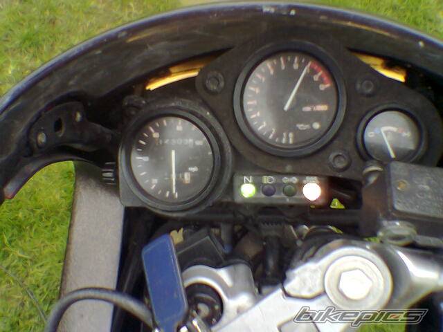 Photo 310054