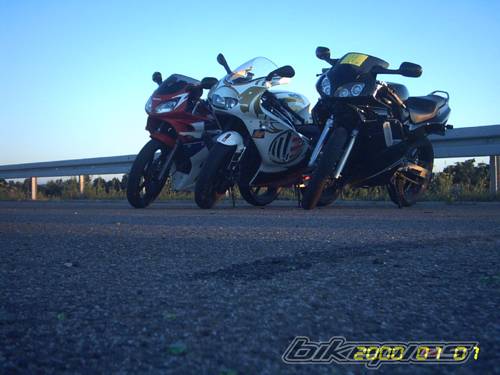 Photo 310081