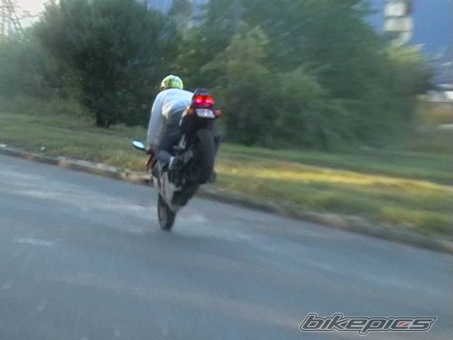 Photo 310099