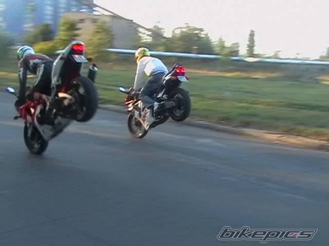 Photo 310101