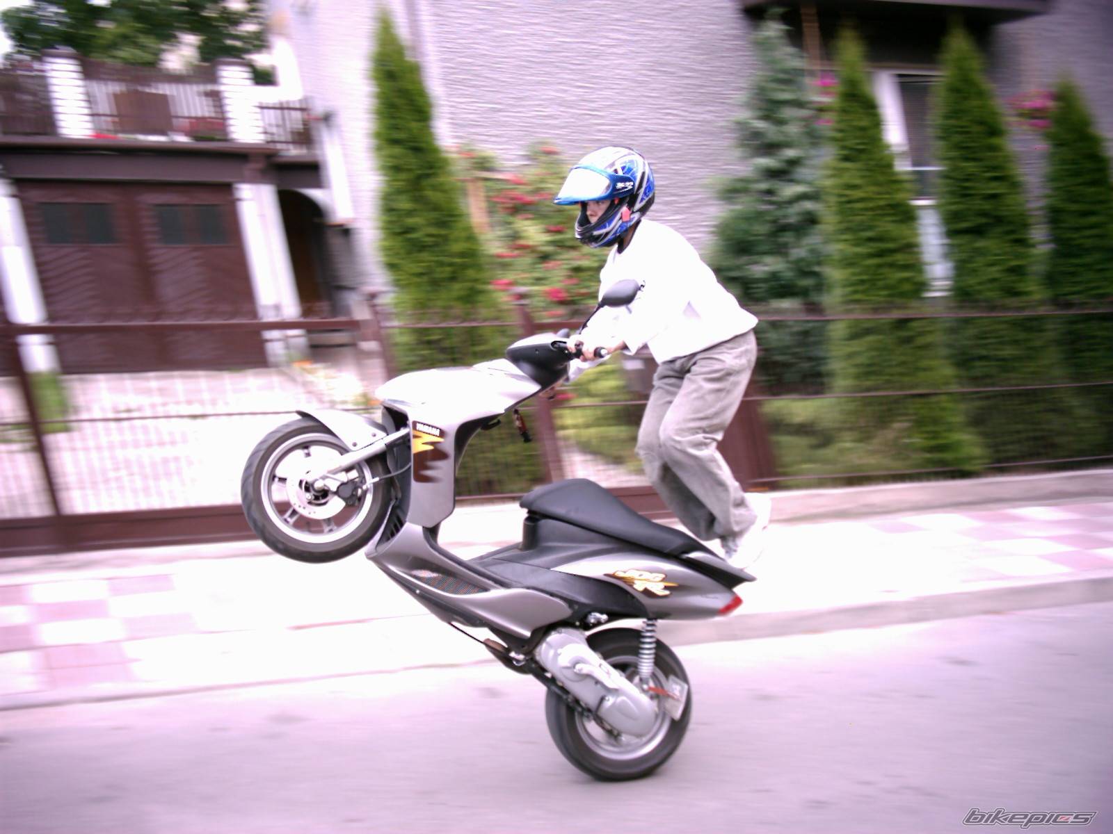 Bike Photo 310179
