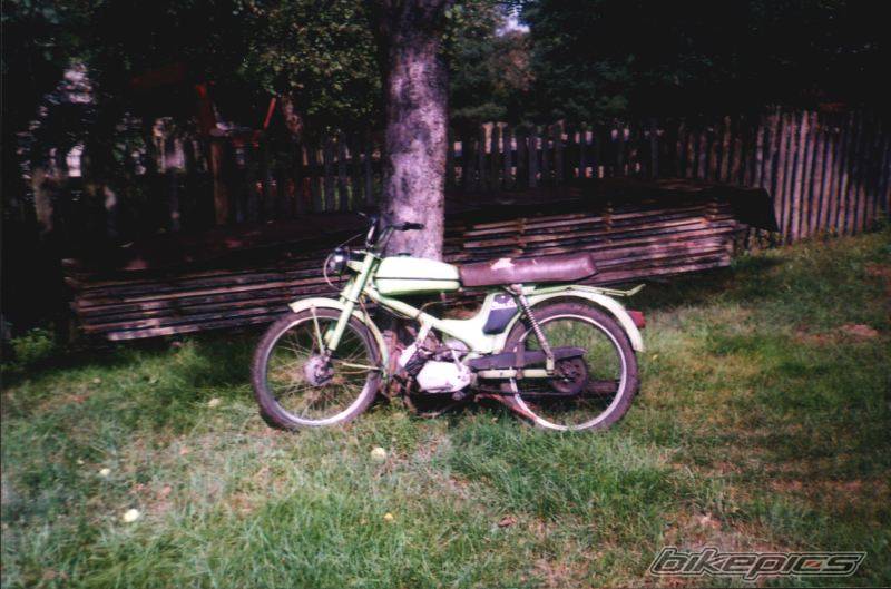 Bike Photo 310189