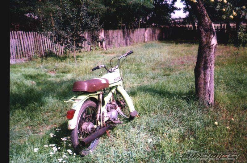 Bike Photo 310190