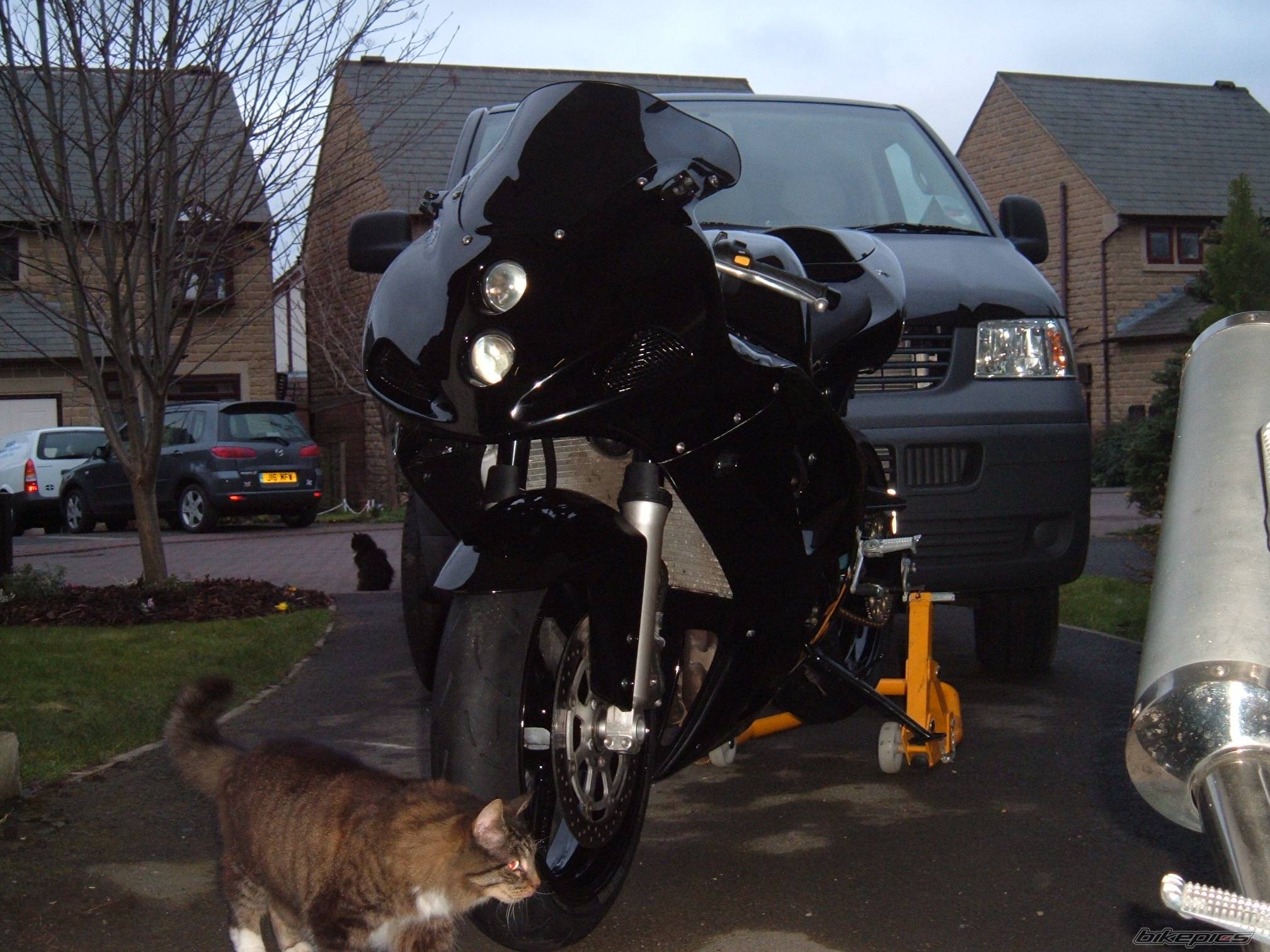 Bike Photo 310256