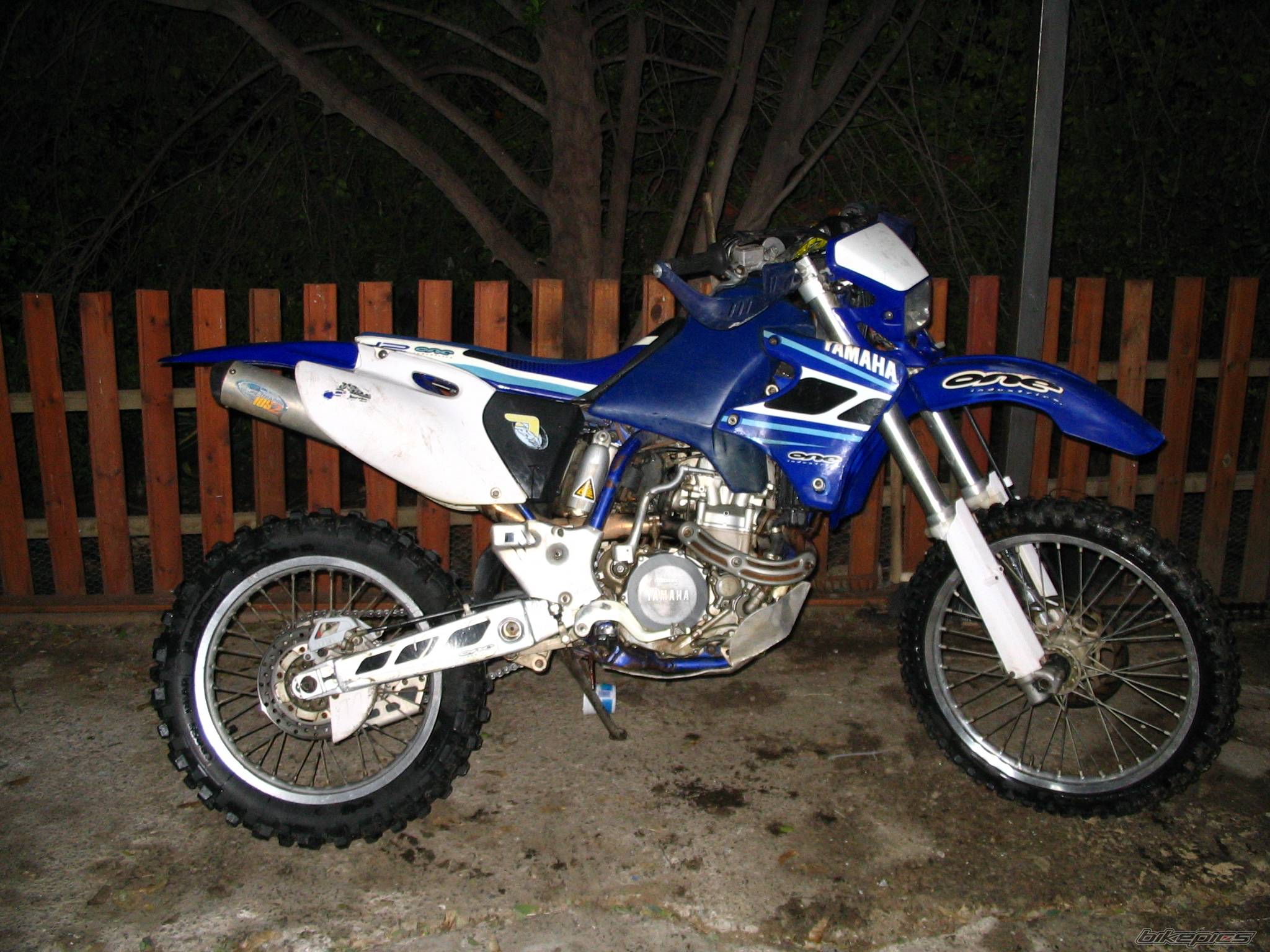 Photo 310260