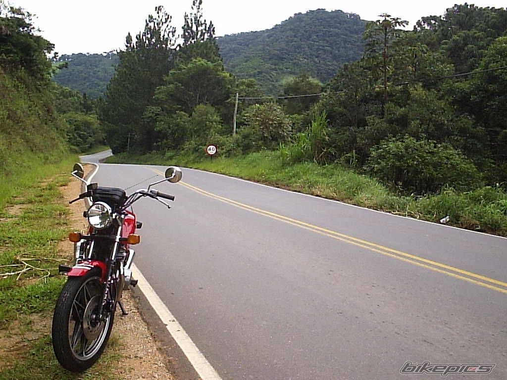 Bike Photo 310268