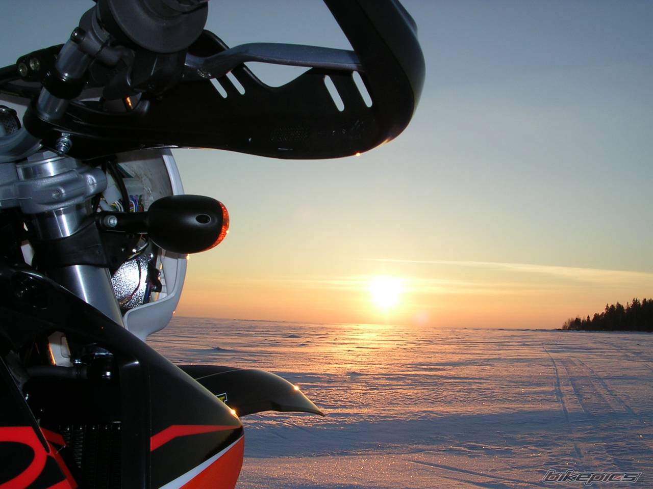 Bike Photo 310275