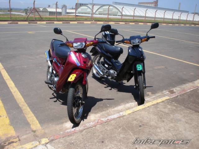 Photo 310291