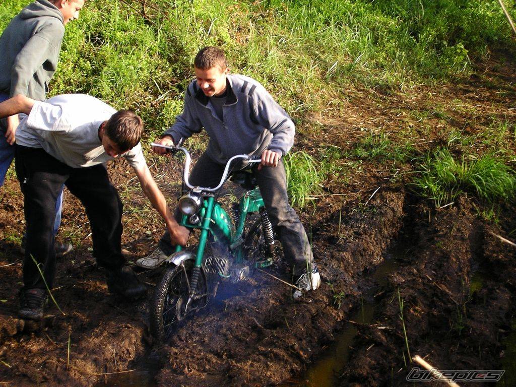 Bike Photo 310293