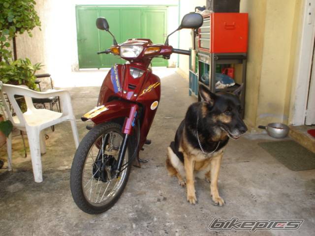 Photo 310297