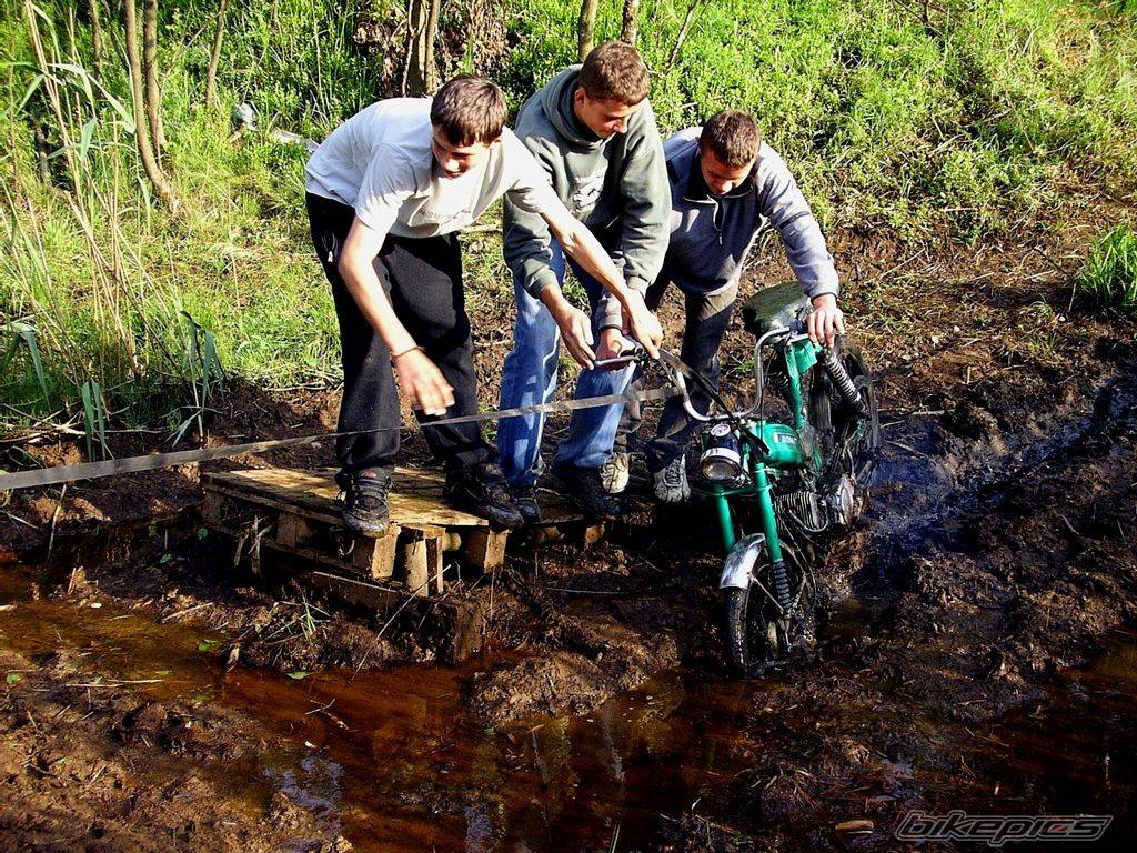 Bike Photo 310299