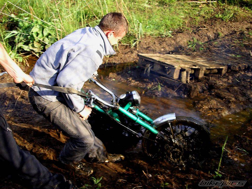 Bike Photo 310301