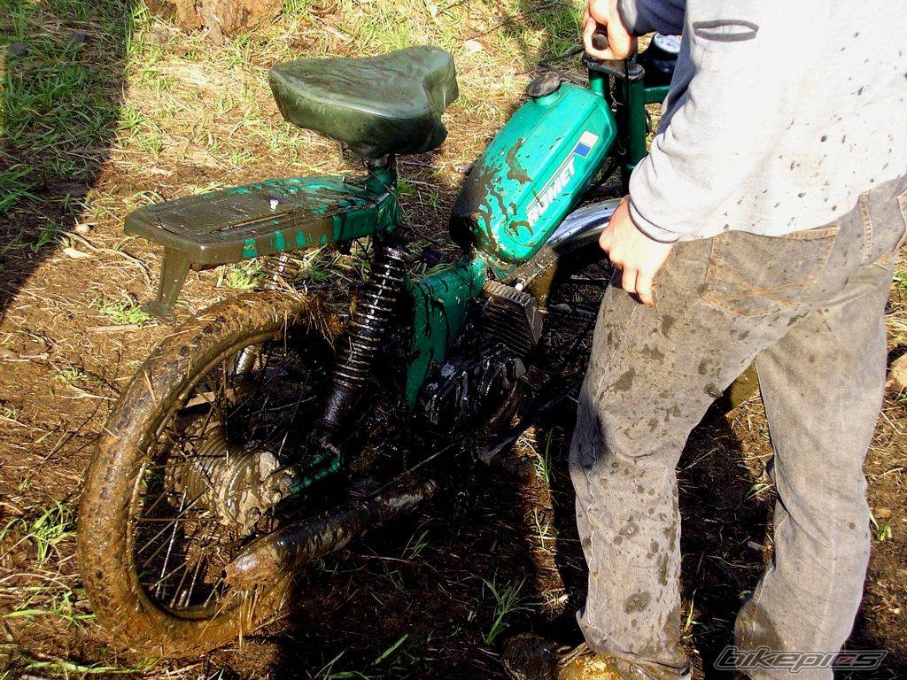 Bike Photo 310302