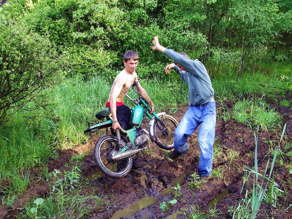 Bike Photo 310306