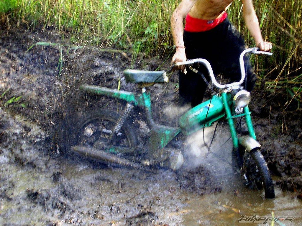 Bike Photo 310313