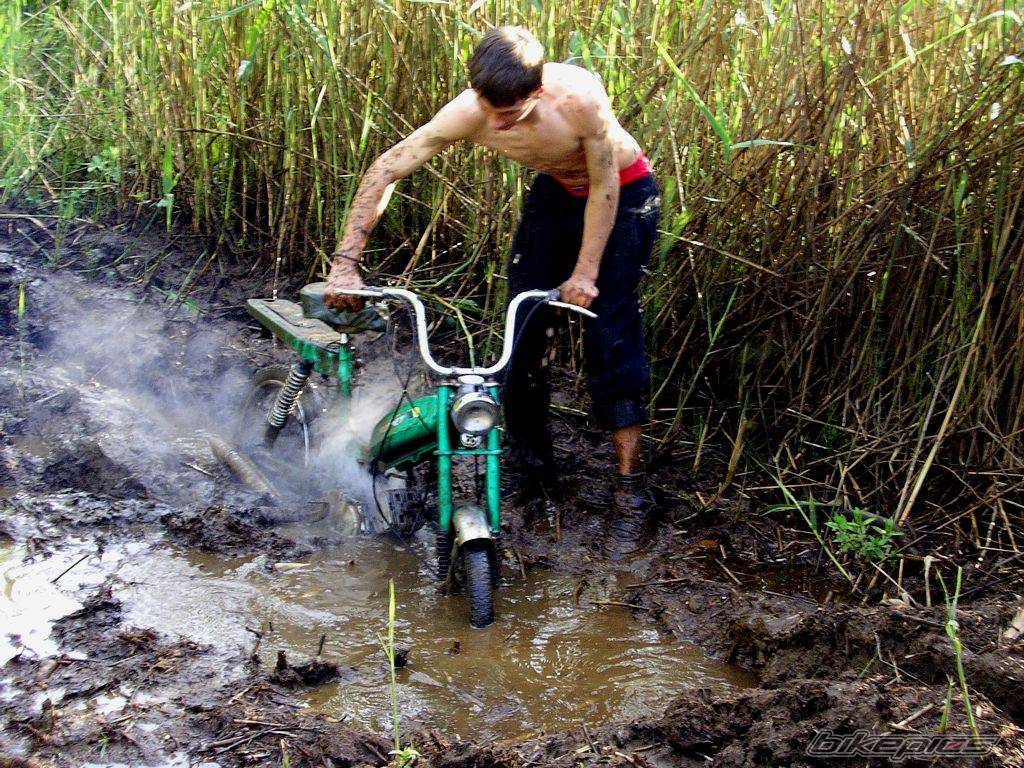 Bike Photo 310314