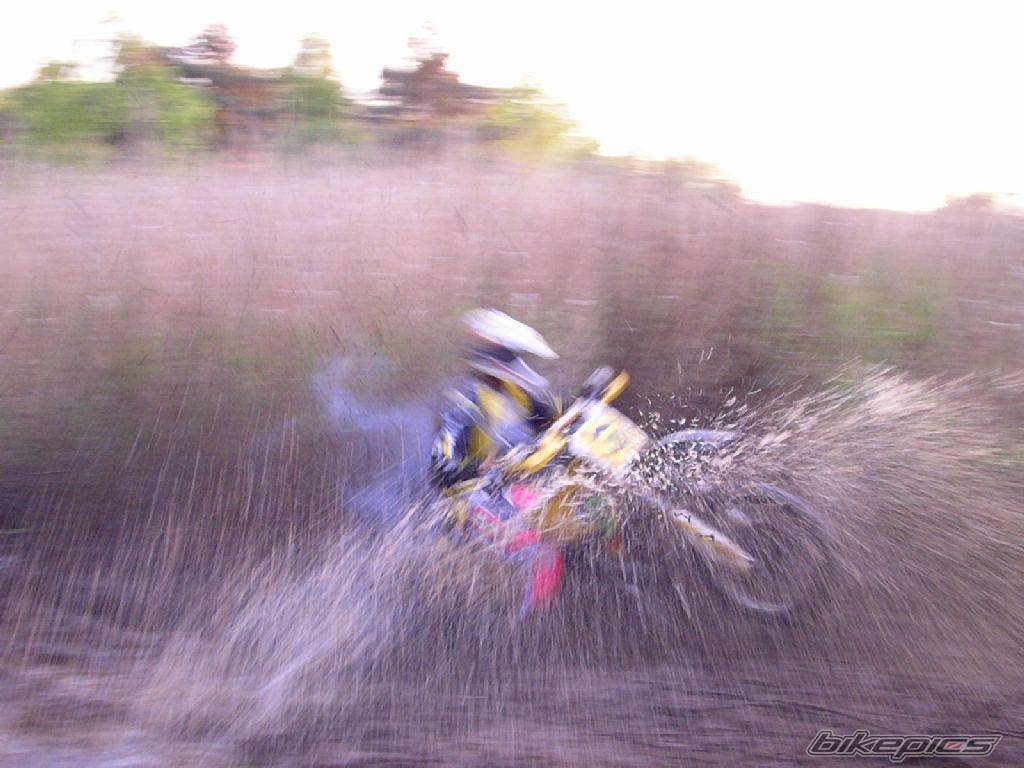 Bike Photo 310327