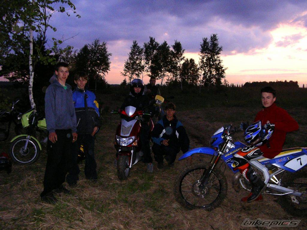 Photo 310332