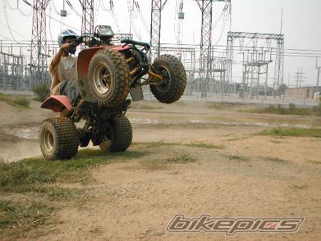 Bike Photo 31038