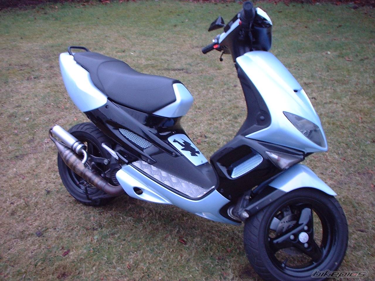 Bike Photo 310398