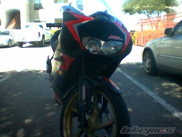 Photo 310439