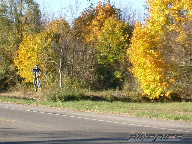 Photo 310502