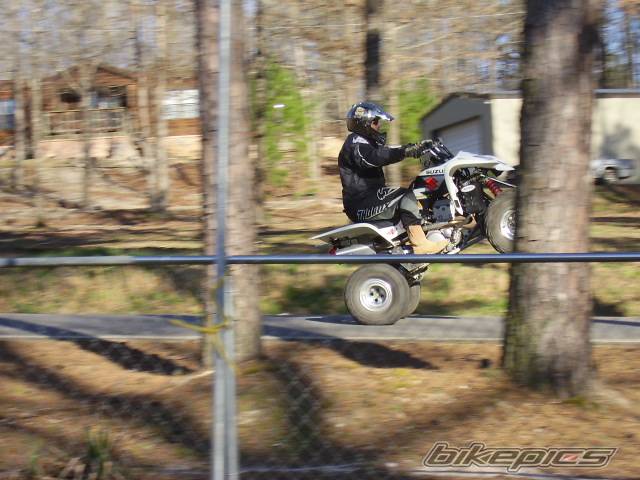 Photo 310533
