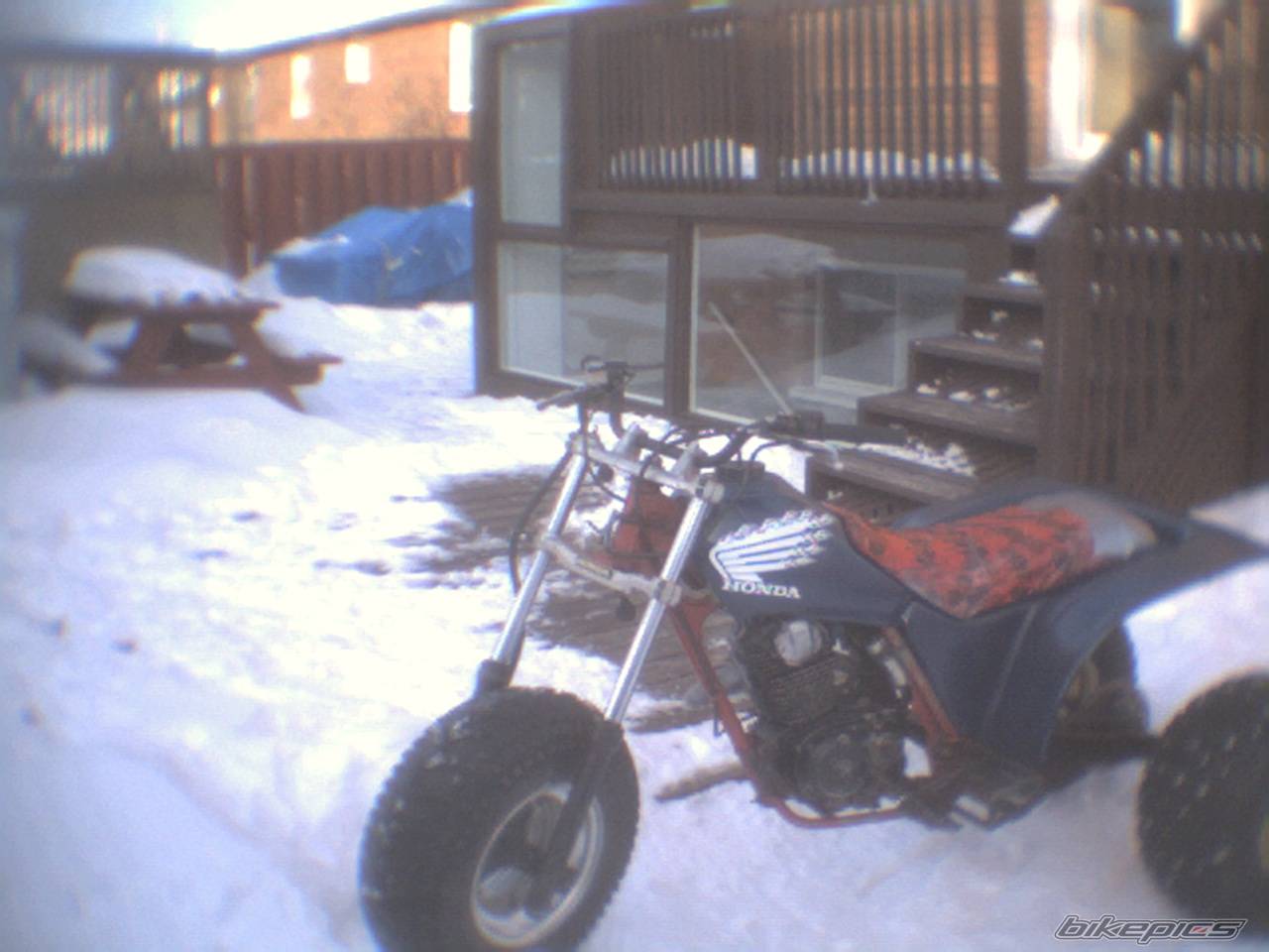 Bike Photo 310564