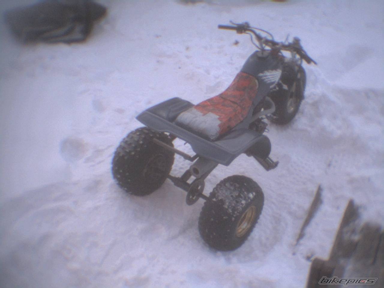 Bike Photo 310568