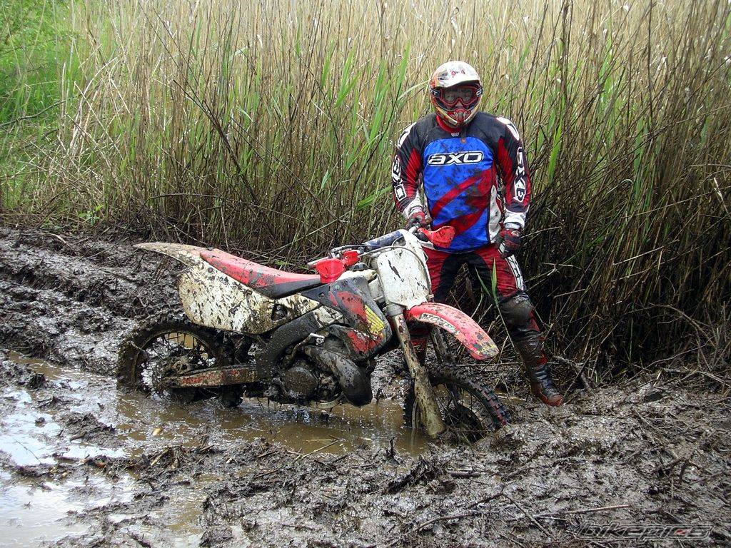 Bike Photo 310574