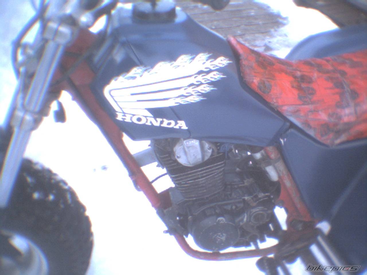 Bike Photo 310575