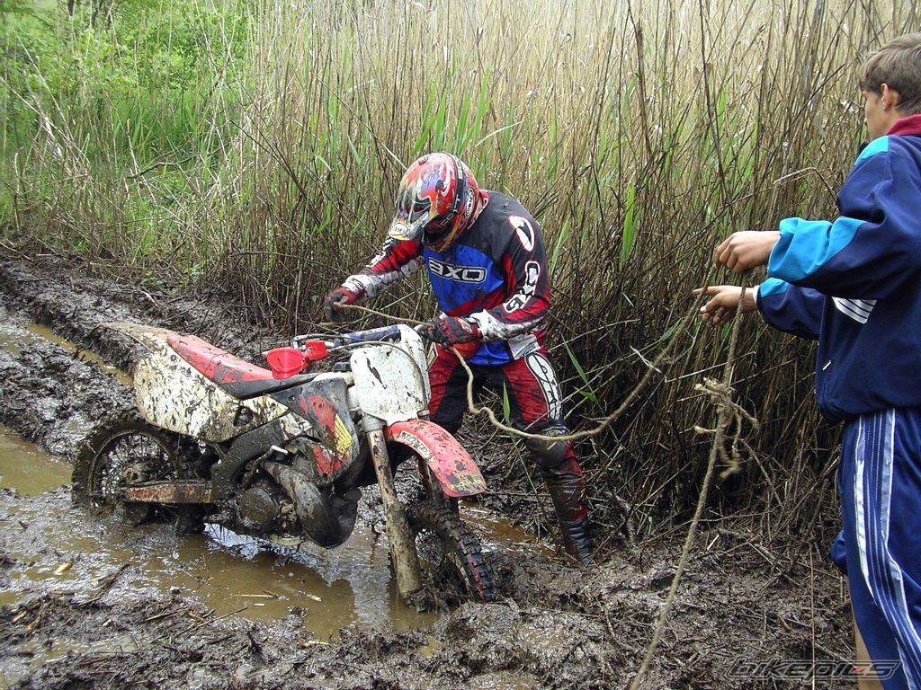 Bike Photo 310576