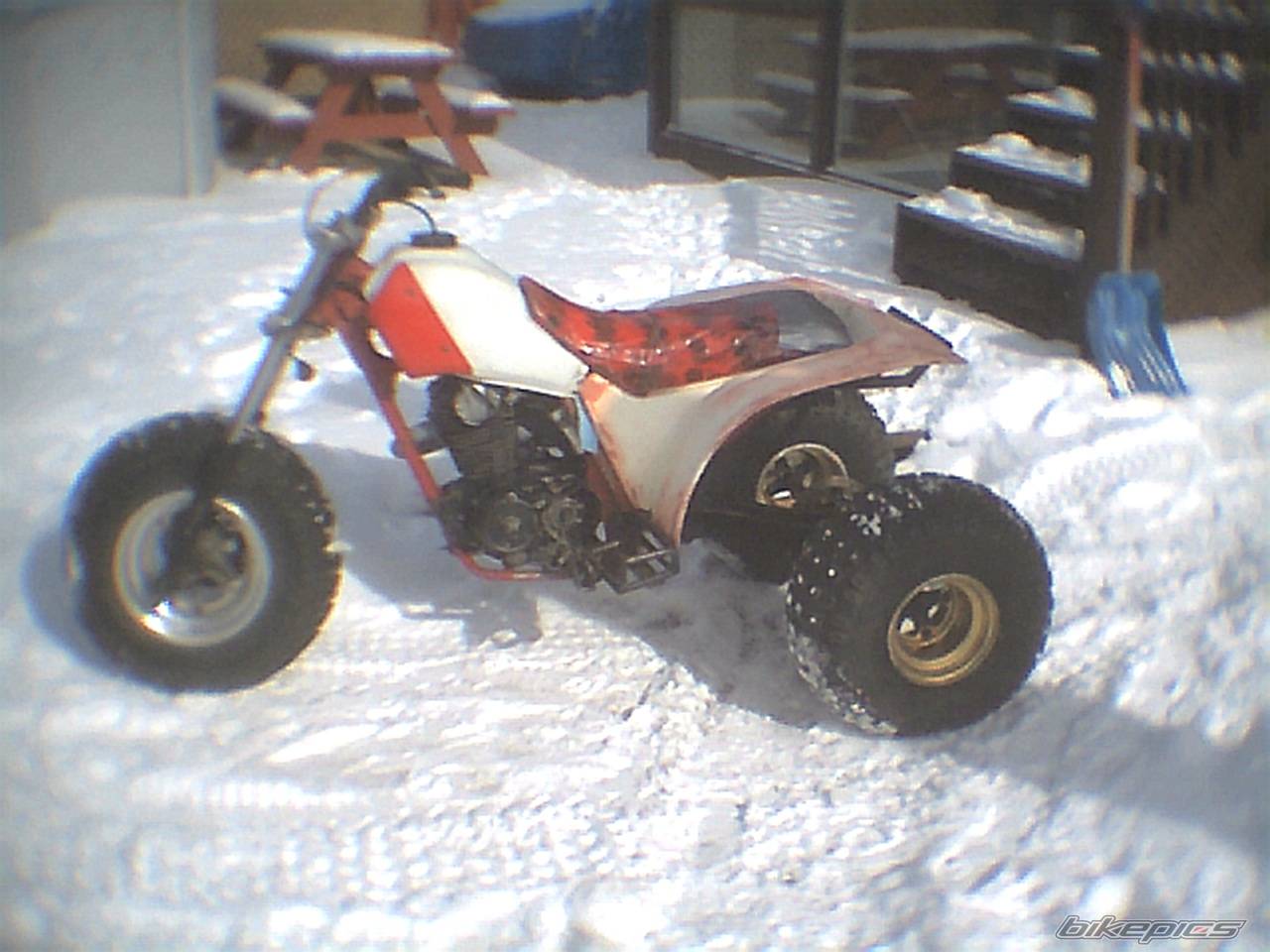 Photo 310579