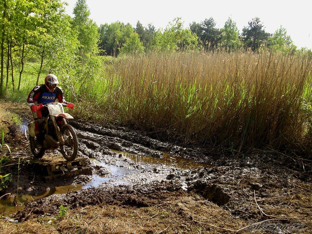 Bike Photo 310589