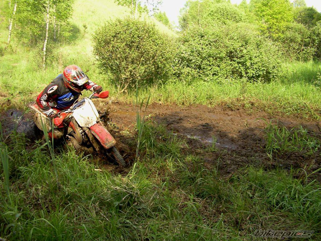 Bike Photo 310591
