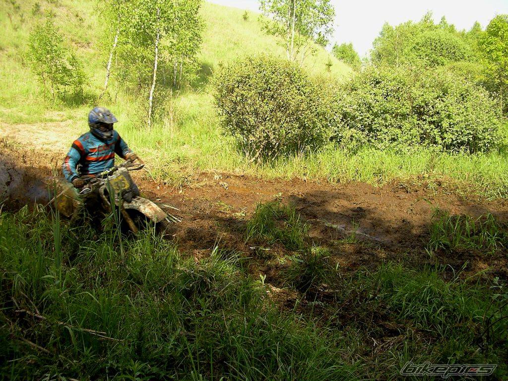 Bike Photo 310593