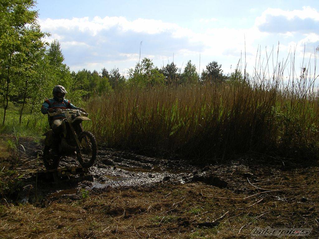 Bike Photo 310594