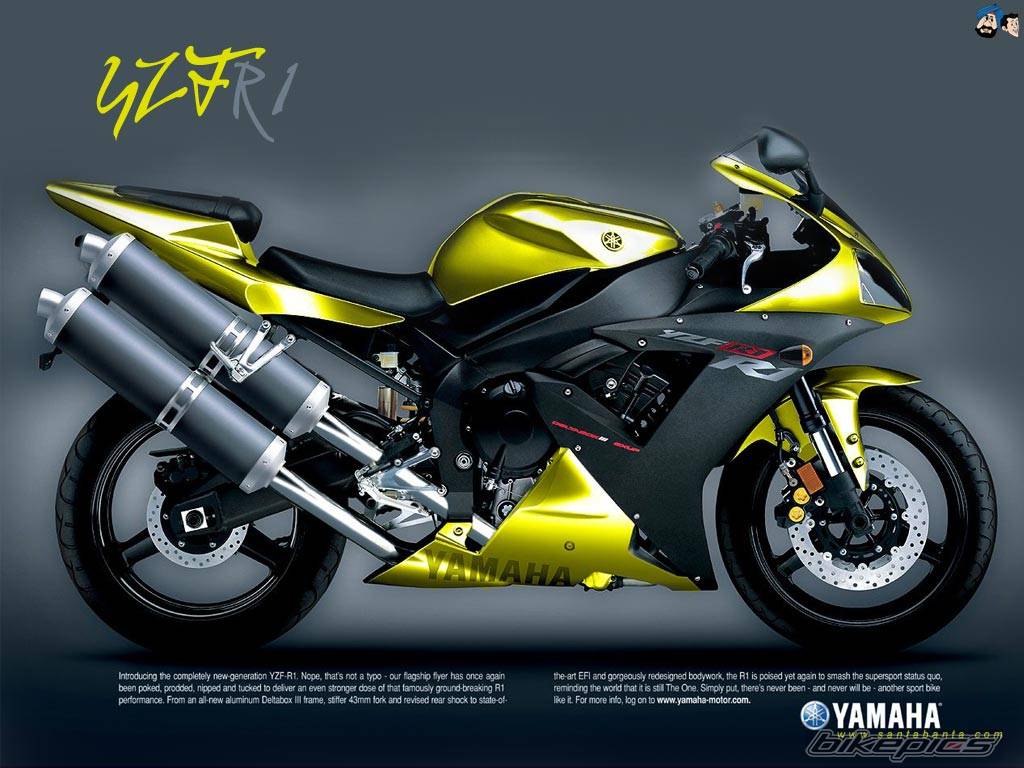 Bike Photo 310679