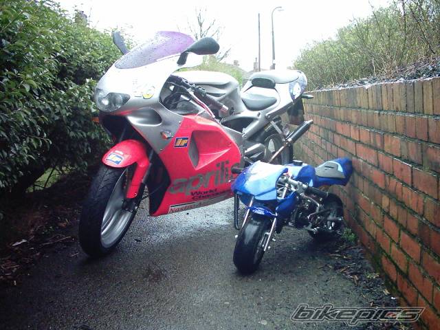 Photo 310702
