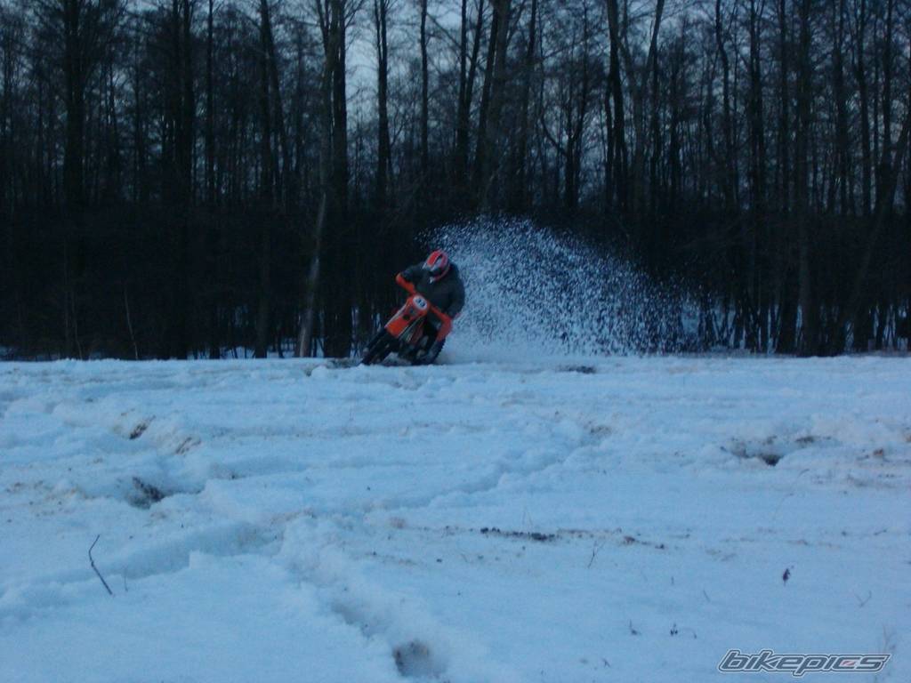Photo 310717