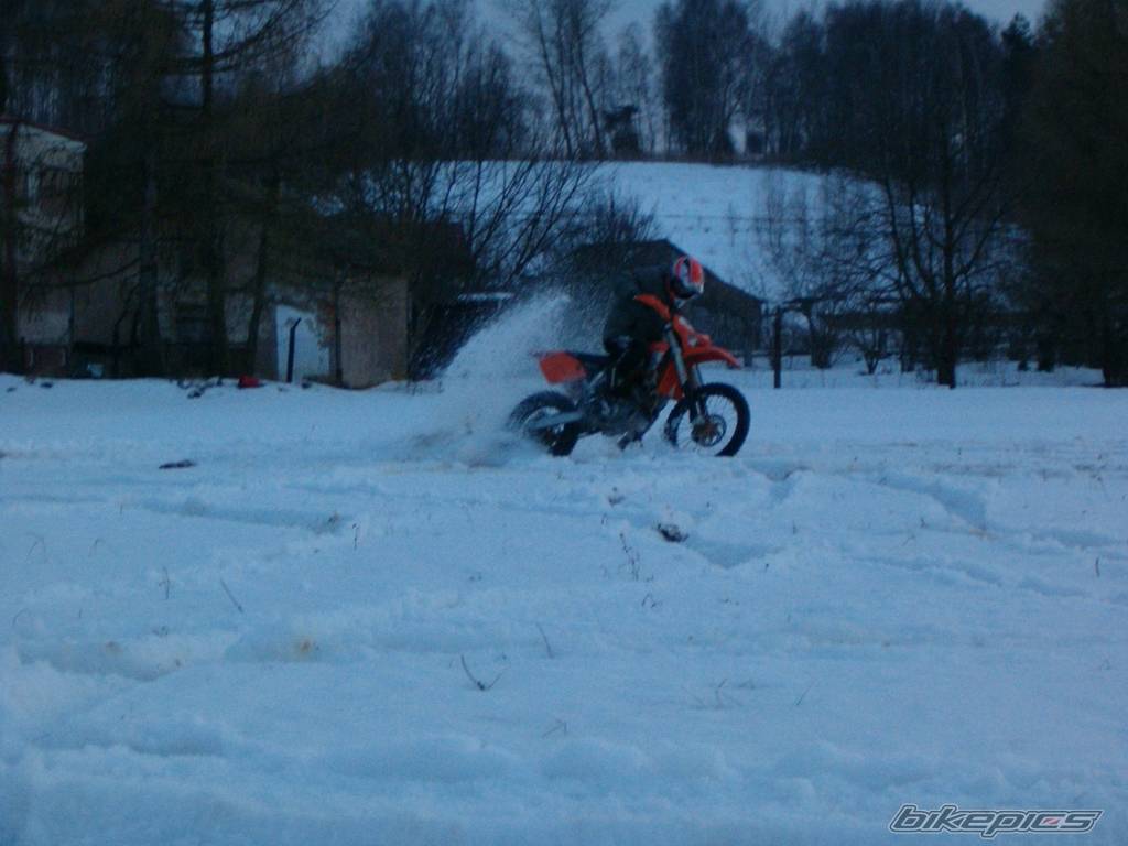 Photo 310720