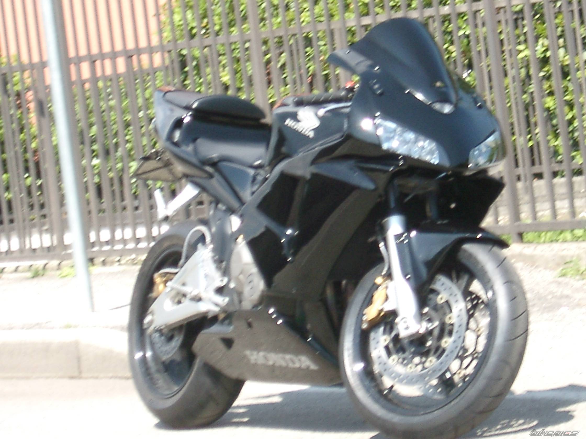 Photo 310733