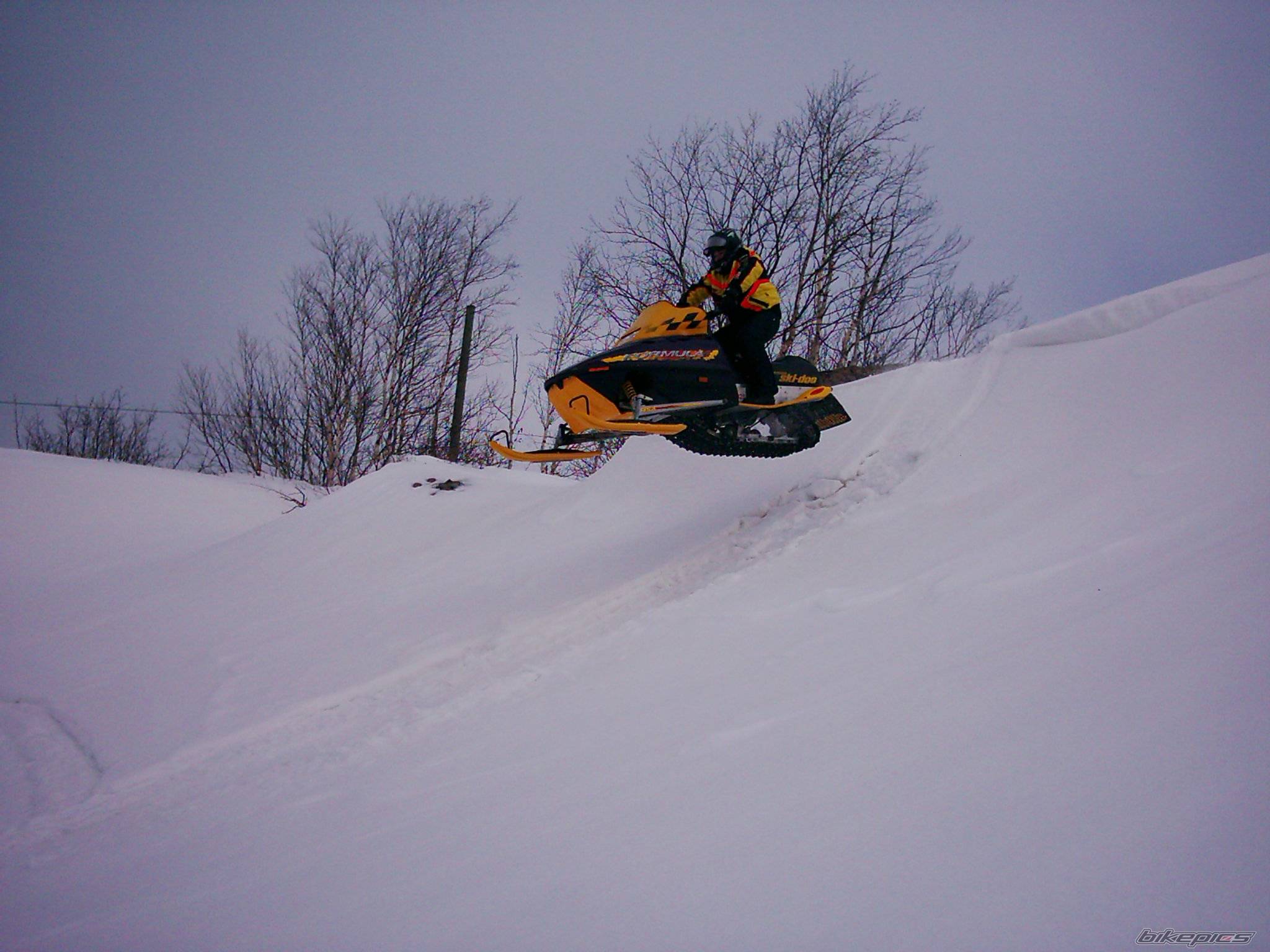 Photo 310736