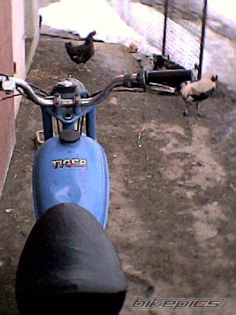 Bike Photo 310826
