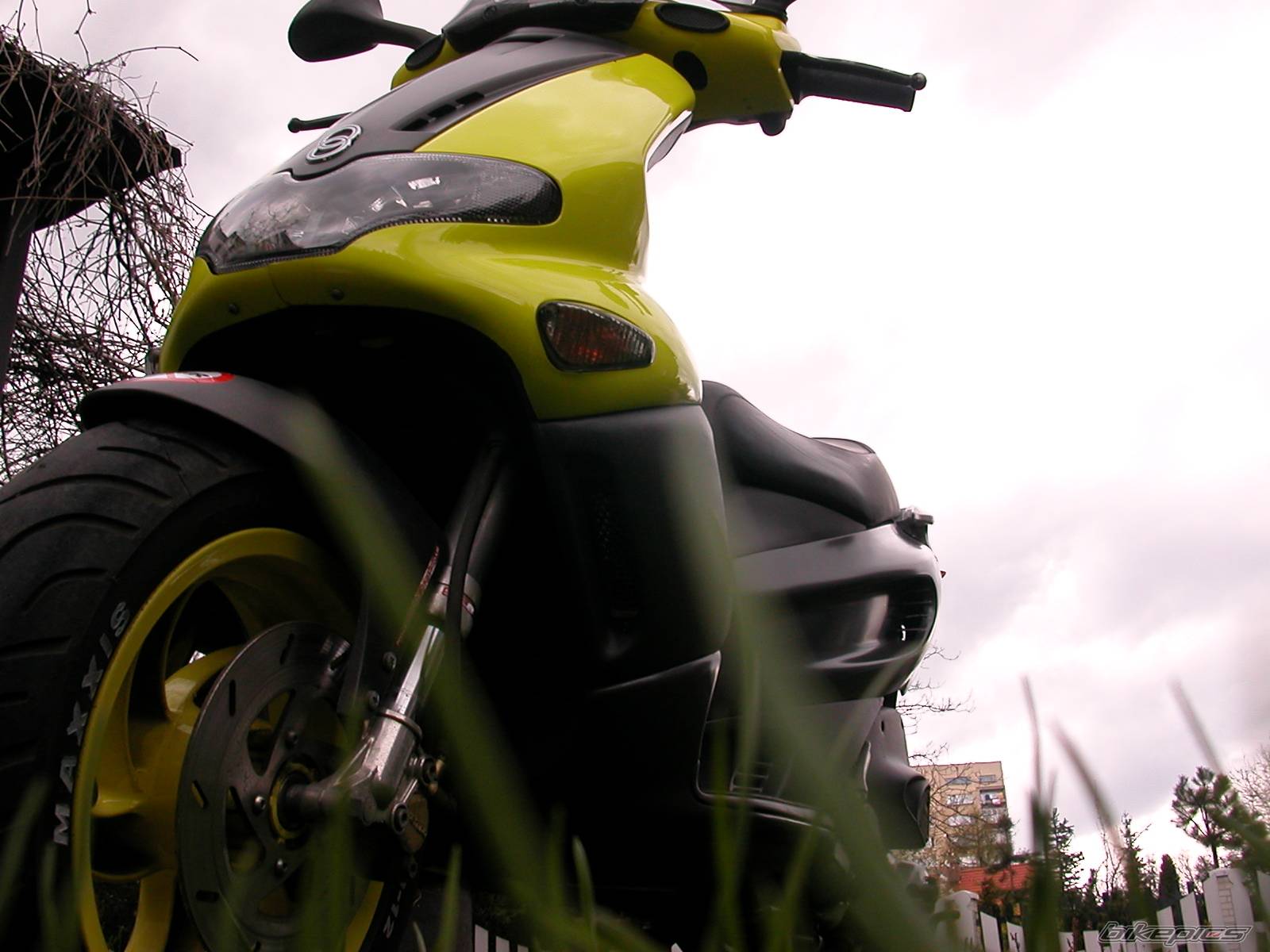 Bike Photo 310905
