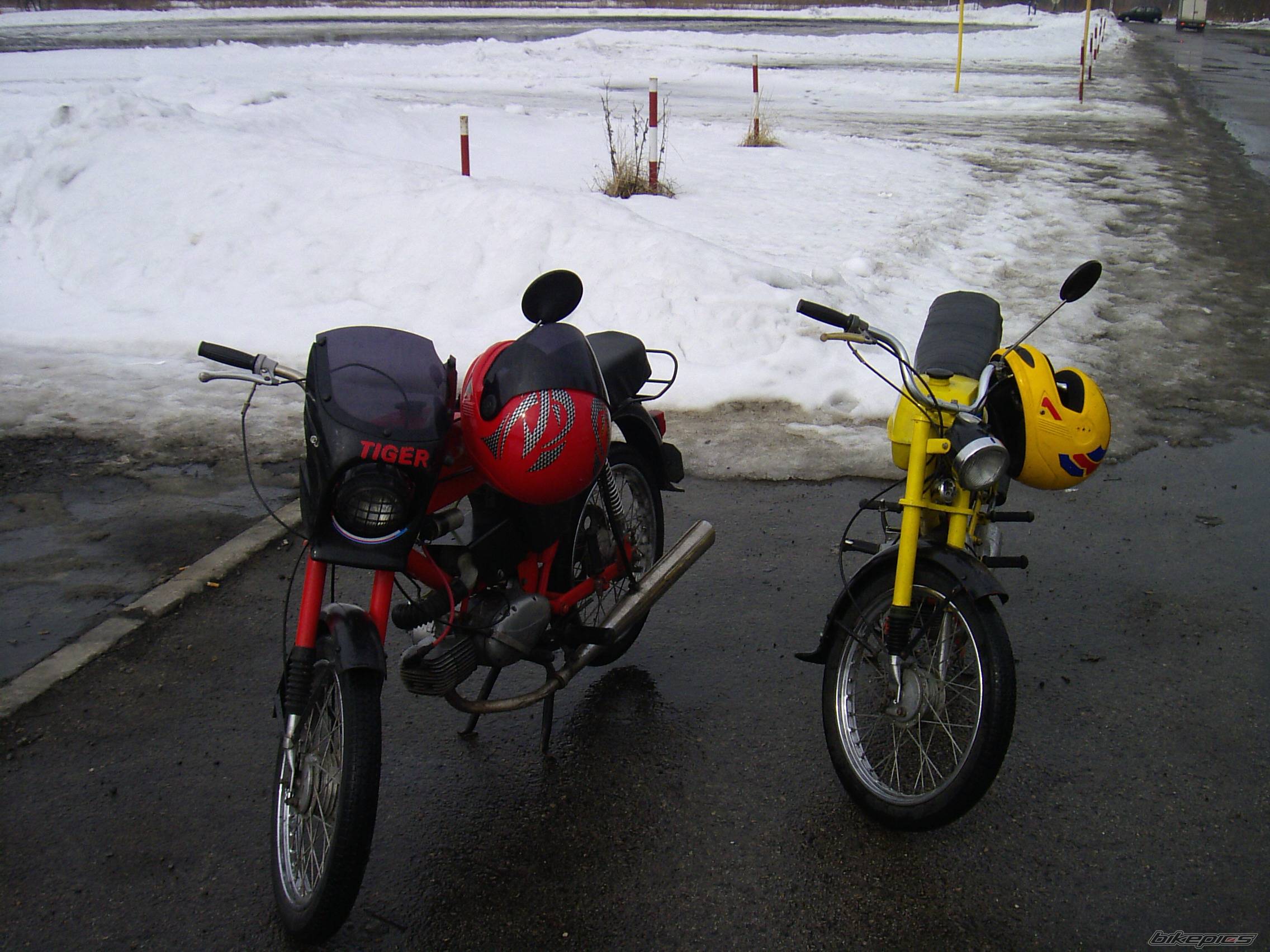 Photo 310954
