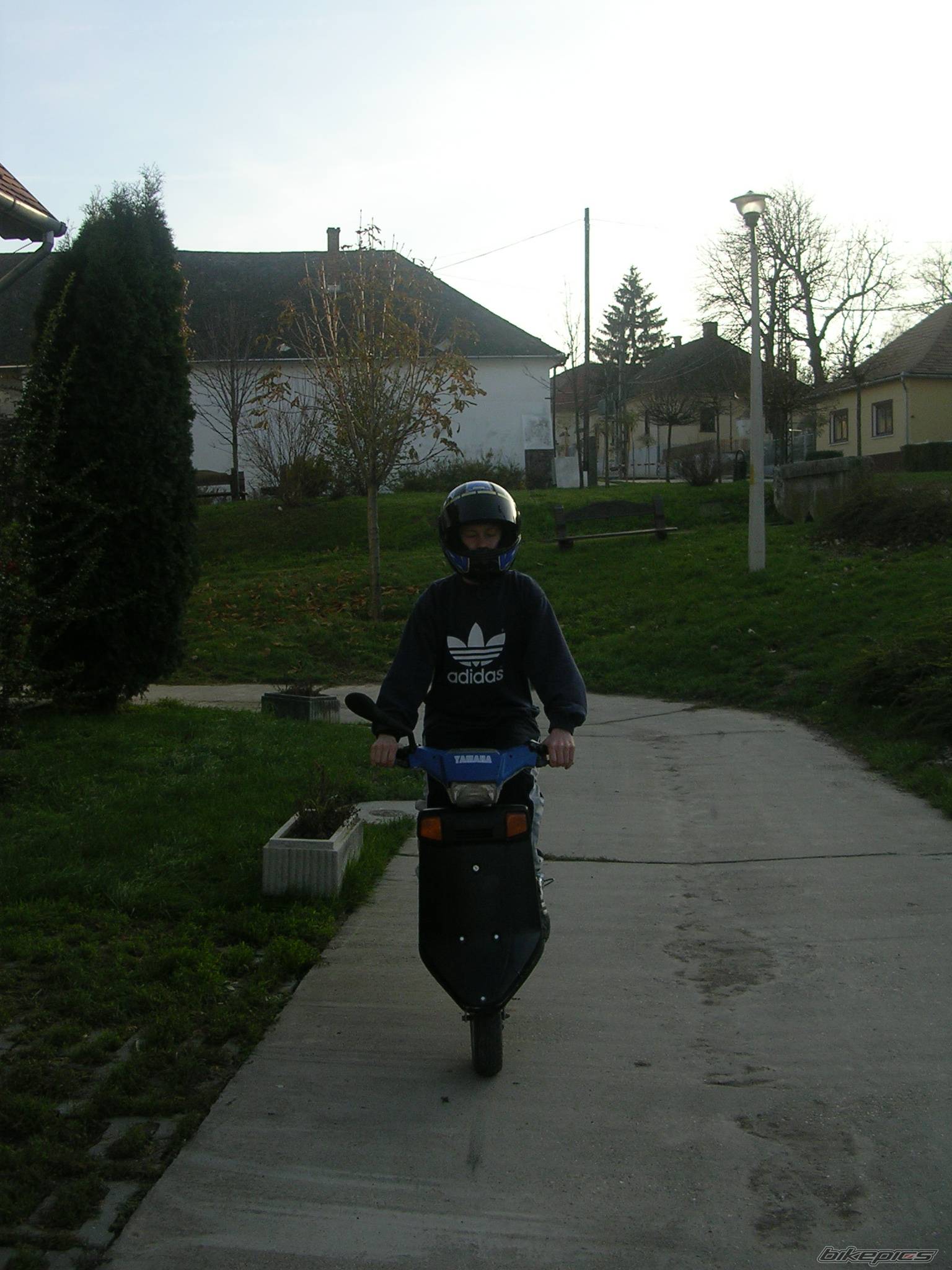 Photo 310969