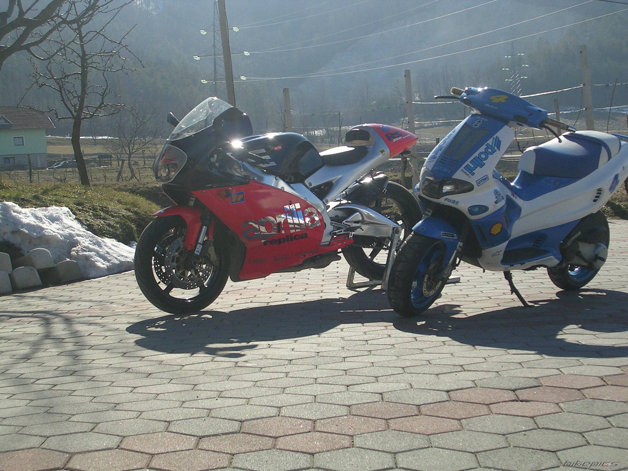 Photo 311056