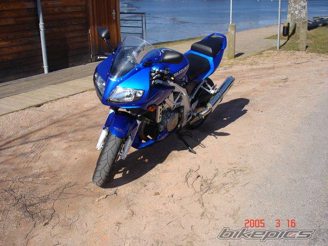 Photo 311066