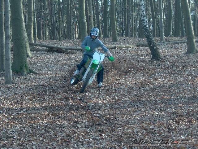Bike Photo 311158